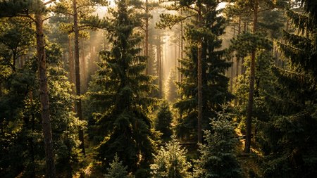 Природа Валдая